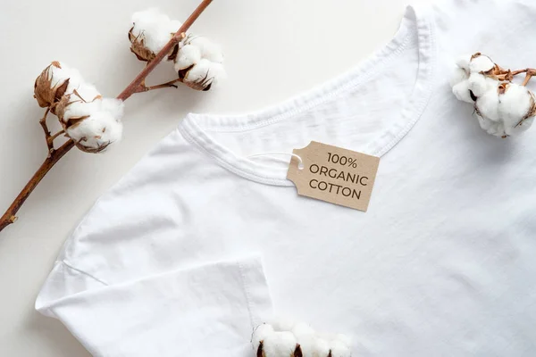 Organic cotton white t-shirt and cotton flowers on table top view. Eco clothing, sustainable lifestyle concept