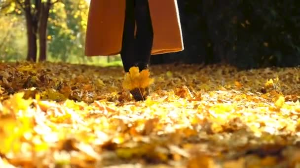 Piernas Mujer Caminando Sobre Hojas Caídas Parque Otoño Mujer Elegante Metraje De Stock Sin Royalties Gratis