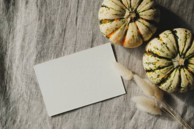 Tarafsız tekstil arka planında lagurular ve balkabakları olan beyaz davetiye modeli. Şükran Günü tebrik kartı tasarımın kutlu olsun. Sonbahar, sonbahar konsepti.