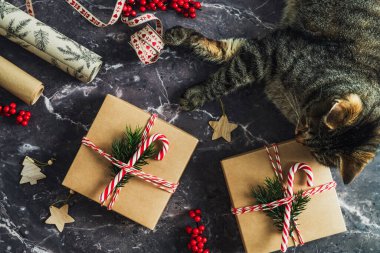 Noel kompozisyonu. Taş masada Noel süslemeleriyle rahatlayan sevimli bir kedi. Düz yatış, üst görünüm.