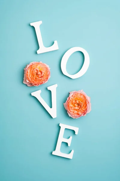 사랑이라는 단어는 글자와 배경의 장미꽃 봉오리로 만들어 졌습니다 평평하게 위에서 — 스톡 사진