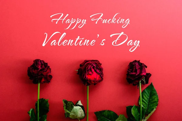 Happy Fucking Valentines Day Card Withered Roses Flowers Text Red — Stock Photo, Image
