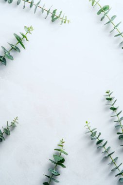 Mermer masa üzerinde suluboya yeşil okaliptüs dalları. Okaliptüs yapraklarından yapılmış bir çerçeve. Düğün davetiyesi tasarımı.