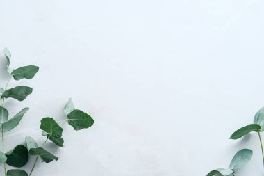 Suluboya okaliptüs dalları mermer masa üstü manzaralı. Çiçek kompozisyonu. Düz konum, üst görünüm, kopyalama alanı.