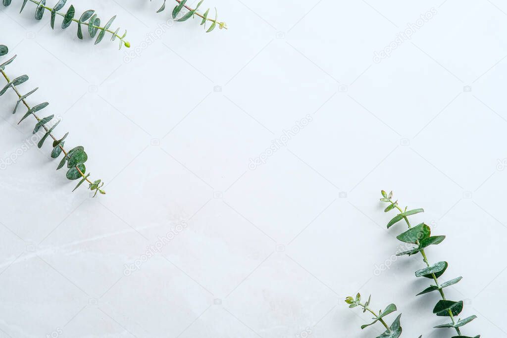 Green eucalyptus leaves on stone table. Frame made of eucalyptus plant branches. Flat lay, top view, copy space