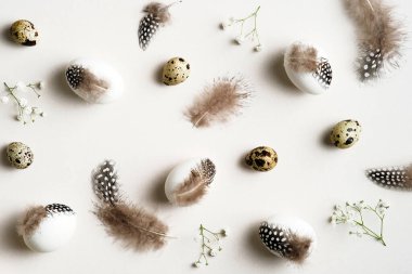 Paskalya düzlüğü kompozisyonu. Beyaz arka planda tüyleri olan Paskalya yumurtaları. Mutlu Paskalya kartı tasarımı