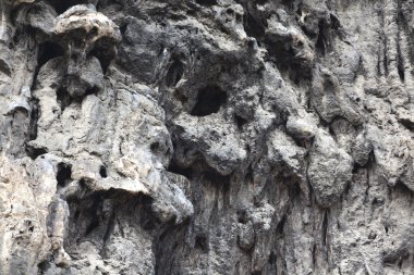 doğal bir taş duvar üzerinden yuvarlak şekiller