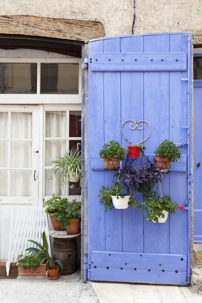 Frans deur met planten Rechtenvrije Stockfoto's