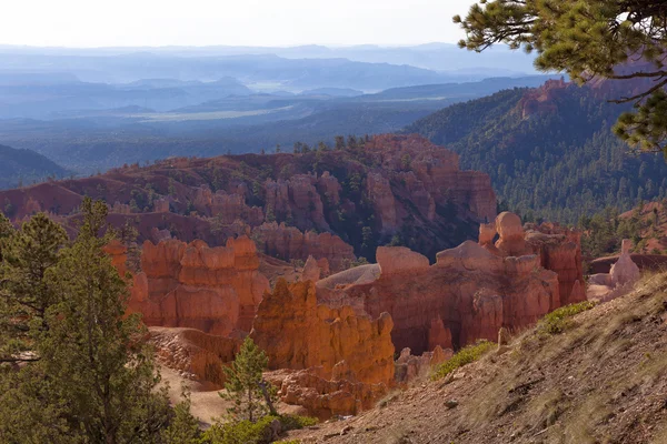 Bryce Canyon in the morning light — Stock Photo, Image