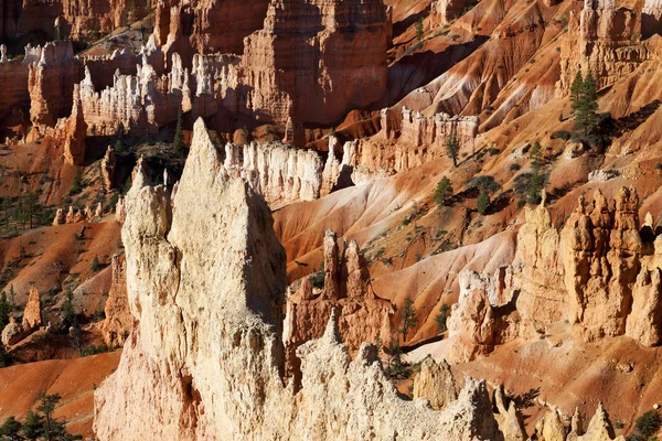 브라이스 캐년의 아름 다운 풍경 — 스톡 사진