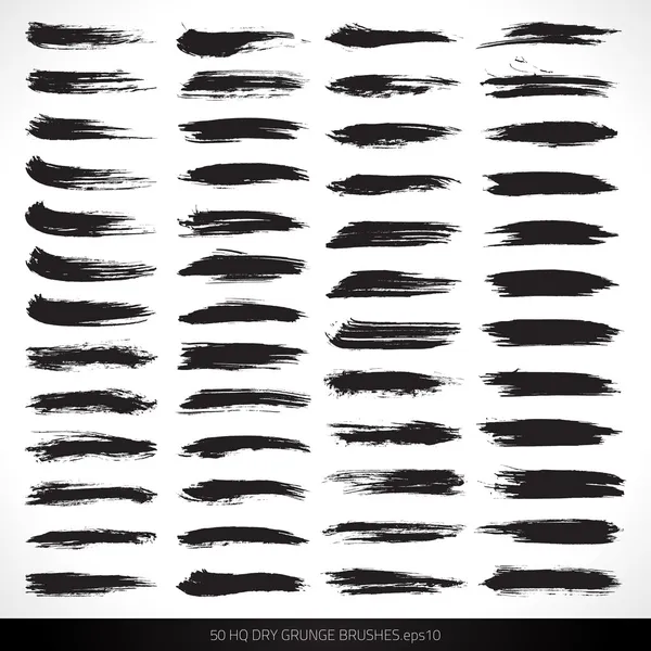 50 hq kuru vektör grunge fırçalar