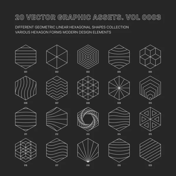 Vector Graphic Assets Various Outline Geometric Hexagon Shapes Collection Isolate — 图库矢量图片
