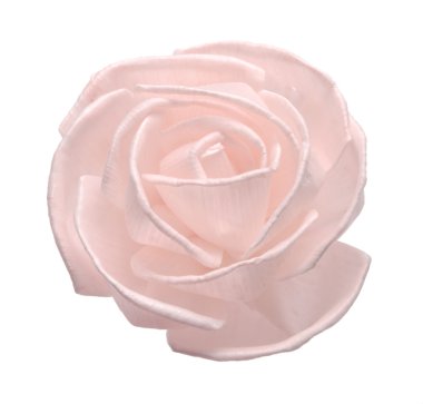 tekne üzerinde izole beyaz zemin çiçek