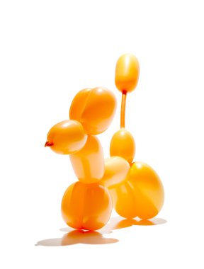 hayvan balon eylem poz