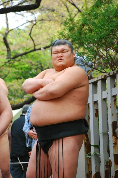 Неизвестный борец сумо соревнуется в храме Ясукуни — стоковое фото