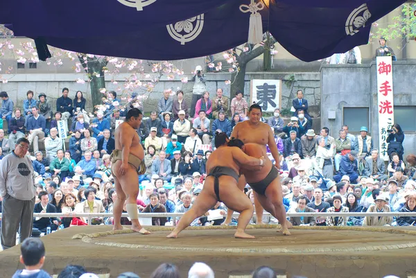 Two sumo fight in Yasukuni Shrine in sumo spring tournament — Stock Photo, Image