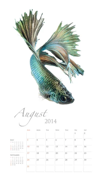 魚と 2014年カレンダー — ストック写真