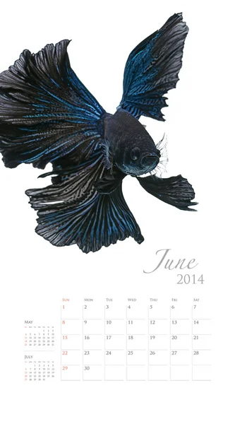 魚と 2014年カレンダー — ストック写真