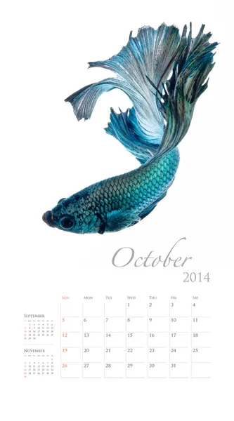 2014 Calendar with fish — Stock Photo, Image