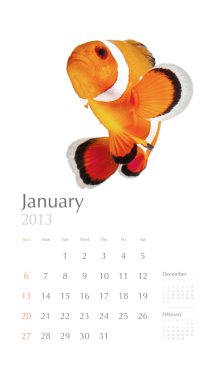 Balık takvimi 2013