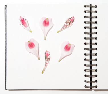 defter ile çiçekler