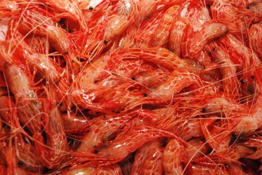 Japanese seafood red sweet shrimp clipart