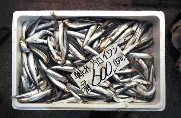 Peces de sardina —  Fotos de Stock