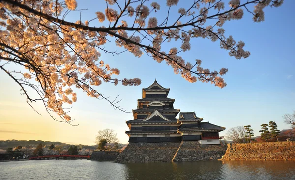 Japonia zamek matsumoto — Zdjęcie stockowe