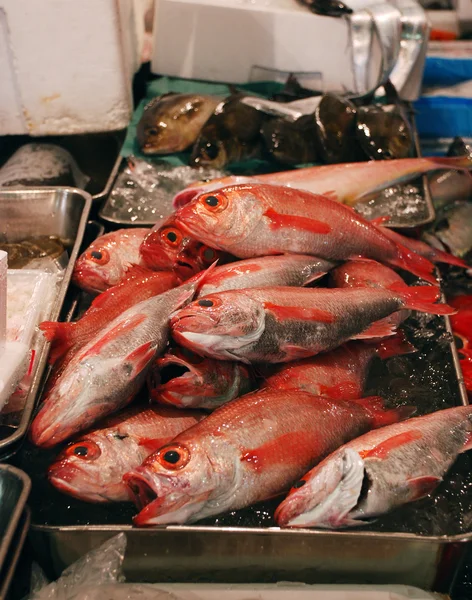 日本の魚店 — ストック写真