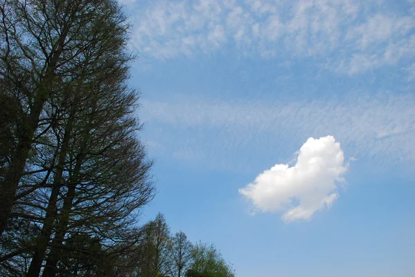 Blue sky and a cloud — Stock Photo, Image