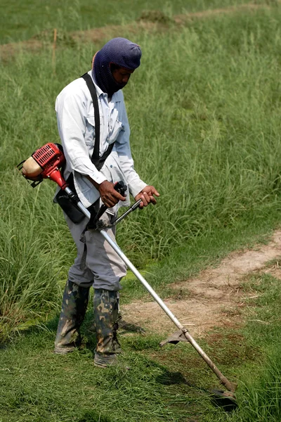 Cutting grass in garden with the trimmer — Stock Photo, Image