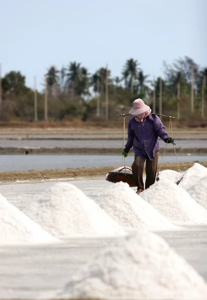 Salt farm, Thailand — Stock Photo, Image