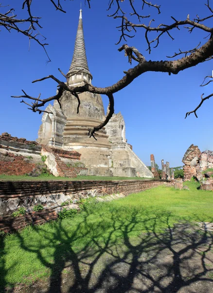 Templo do Sião Velho de Ayutthaya, Tailândia Património Mundial da UNESCO — Fotografia de Stock