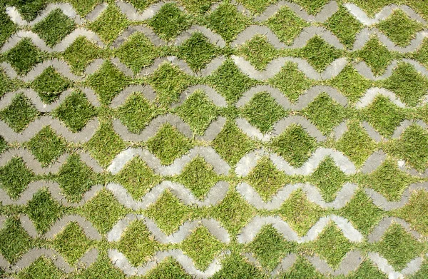 หญ้าสีเขียวที่มีทางเดินหินในสวนสาธารณะ — ภาพถ่ายสต็อก
