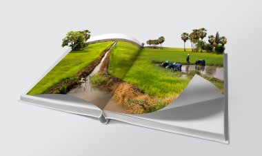 Open book in green rice fields clipart
