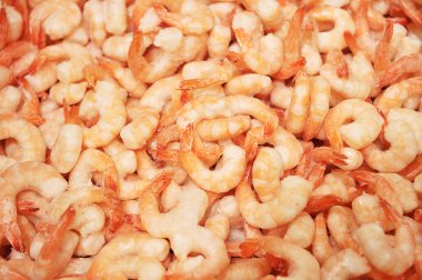 karides yakın çekim