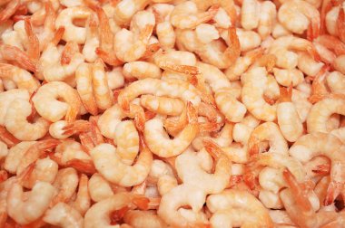 karides yakın çekim