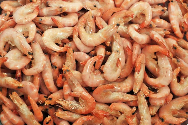 Shrimps — Stock Photo, Image