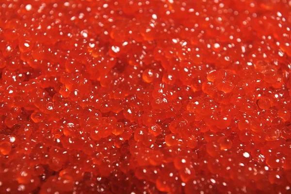 Red caviar on the background — Stock Photo, Image