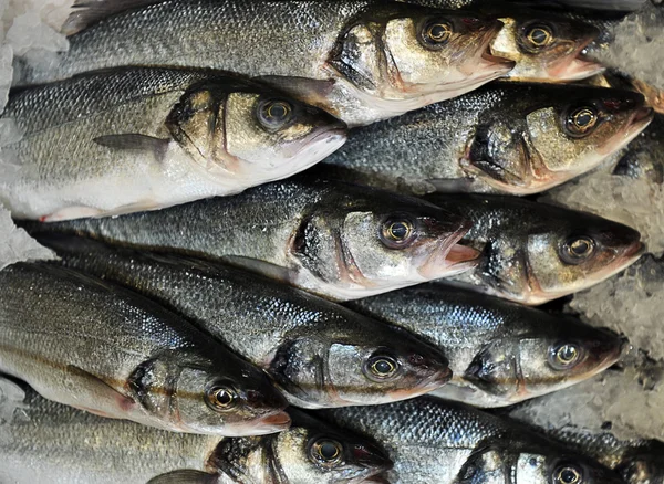 Färska fiskar på marknaden — Stockfoto