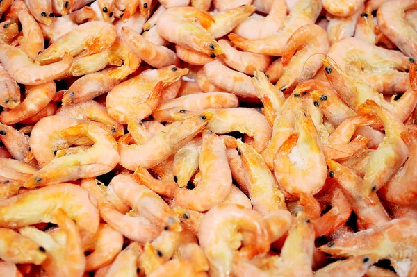 Prawns close-up — Stock Photo, Image