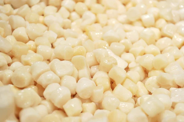 White corn — Stock Photo, Image