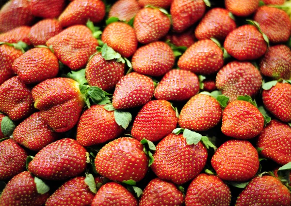 Verse aardbeien — Stockfoto