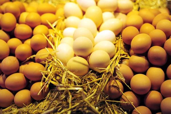 Farm Fresh Chicken Eggs — Stock Photo, Image