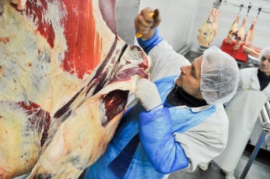 et gıda sektöründe işleme