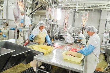 et gıda sektöründe işleme