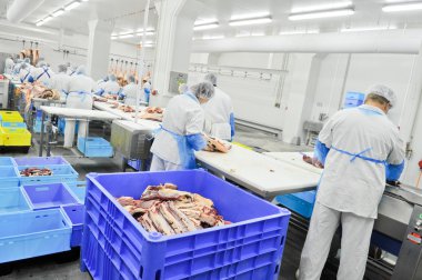et gıda sektöründe işleme