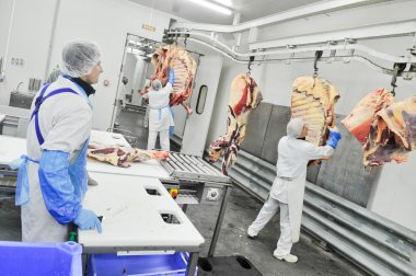 et gıda sektöründe işleme