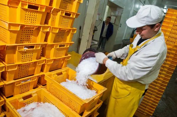 Lavorazione del pollame nell'industria alimentare — Foto Stock