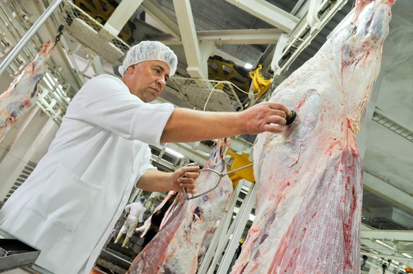 Lavorazione delle carni nell'industria alimentare — Foto Stock